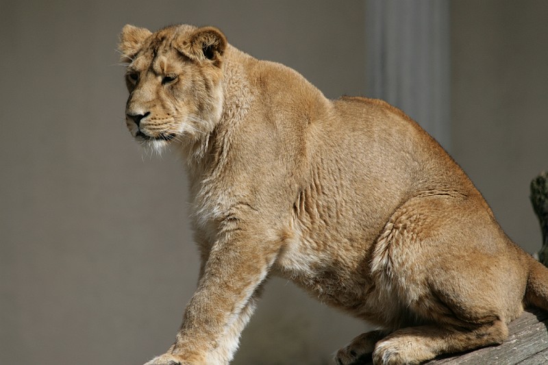 Fotoclubje Blijdorp 2008-60.jpg